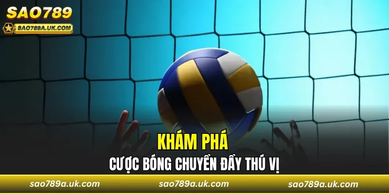 Khám phá cược bóng chuyền đầy thú vị