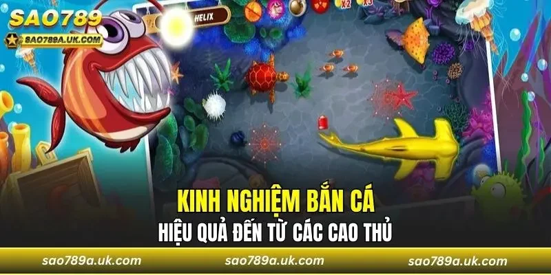 Trải nghiệm fishing game trên điện thoại hấp dẫn