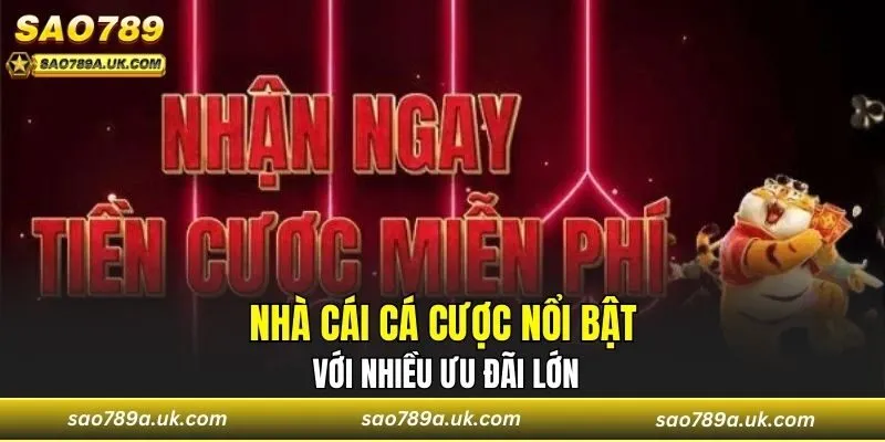 Nhà cái cá cược nổi bật với nhiều ưu đãi lớn