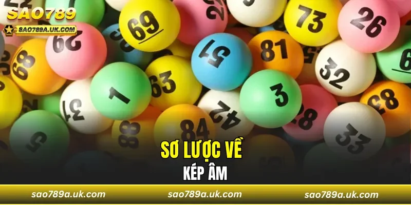 Sơ lược về kép âm