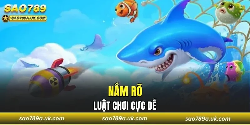 Tìm hiểu về luật tham gia